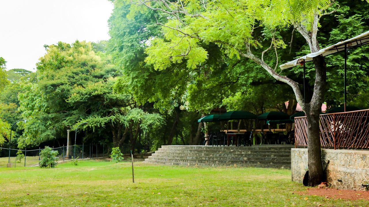Malwathu Oya Caravan Park Bed & Breakfast Anuradhapura Luaran gambar