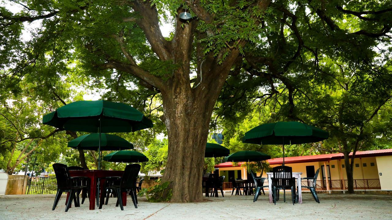 Malwathu Oya Caravan Park Bed & Breakfast Anuradhapura Luaran gambar