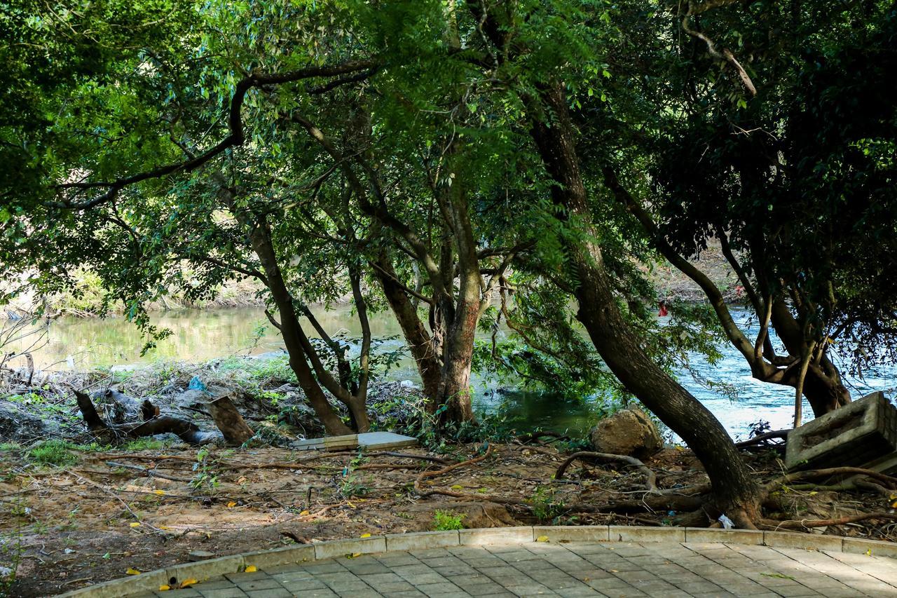 Malwathu Oya Caravan Park Bed & Breakfast Anuradhapura Luaran gambar